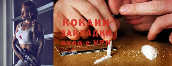 хмурый Сосновый Бор
