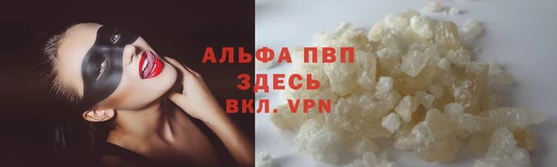 таблы Богородицк
