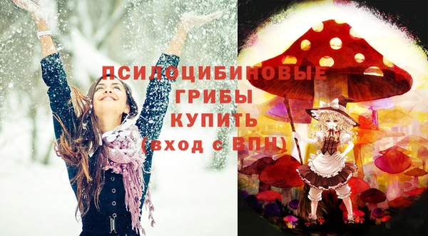 mix Богородск