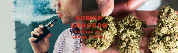 таблы Богородицк